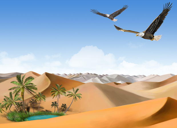 鹰击大漠――沙漠景色PPT模板